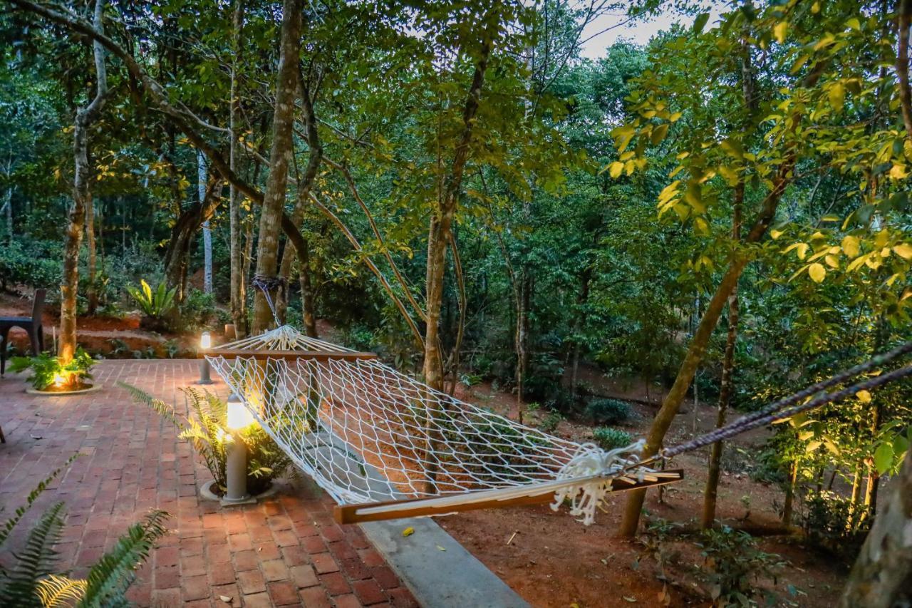 Hotel Tranquilisle Kandy Zewnętrze zdjęcie
