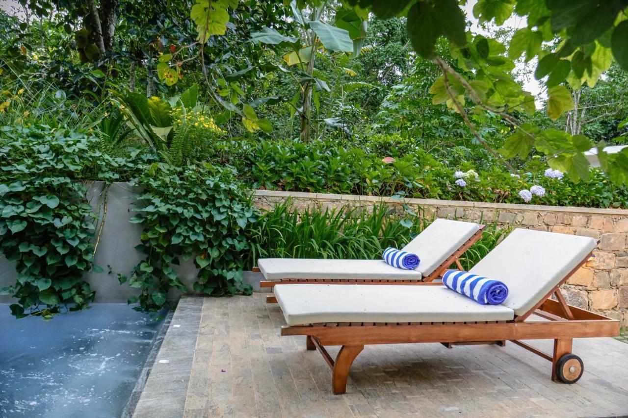 Hotel Tranquilisle Kandy Zewnętrze zdjęcie