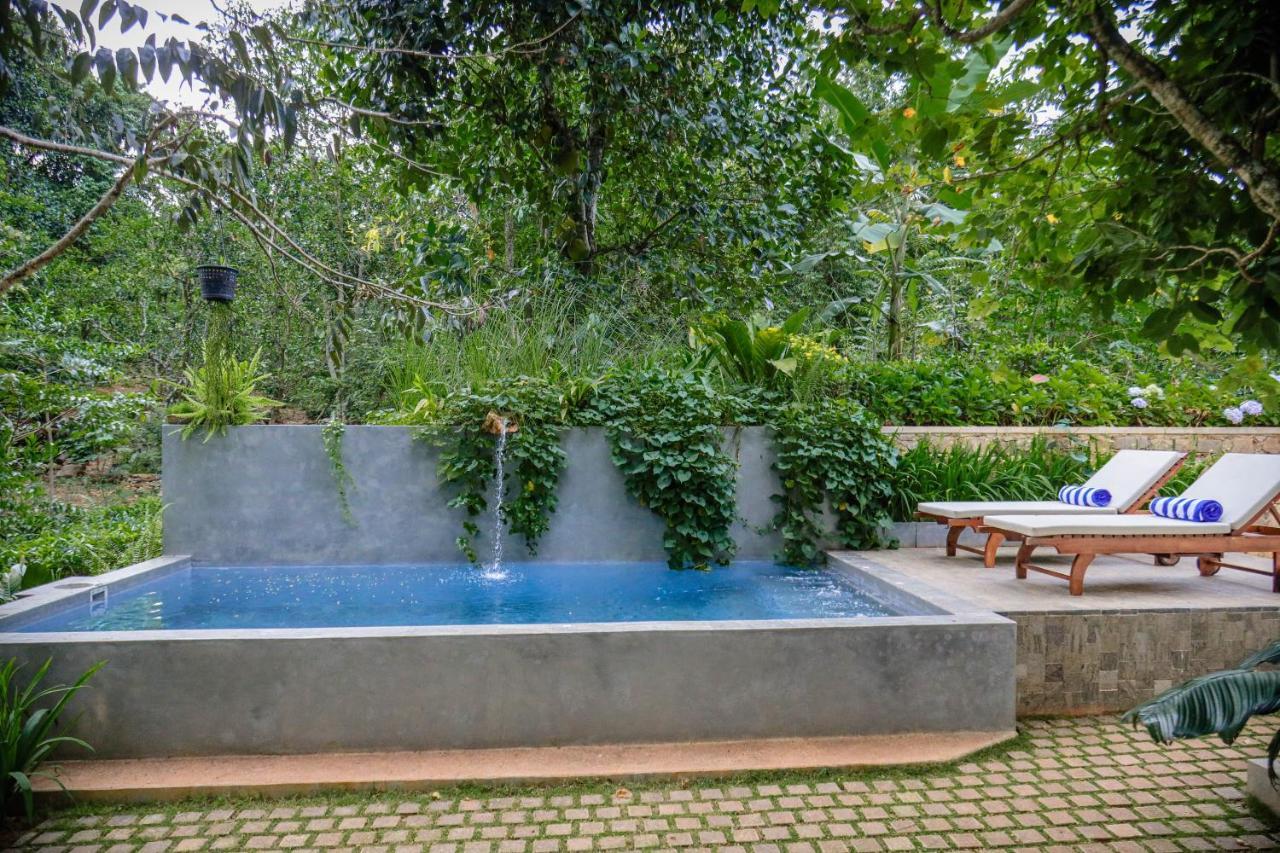 Hotel Tranquilisle Kandy Zewnętrze zdjęcie