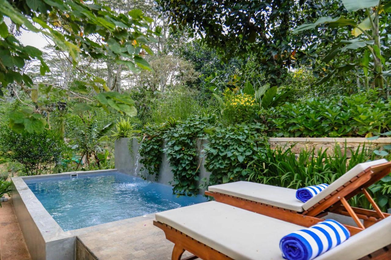 Hotel Tranquilisle Kandy Zewnętrze zdjęcie